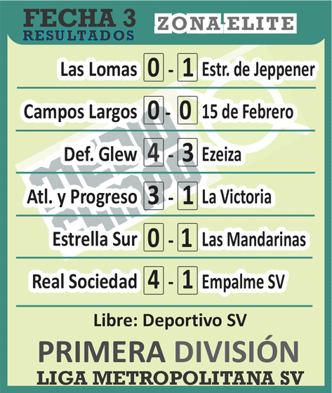 Las Mandarinas, Brandsen, Atlético y Progreso, Estrella de Jeppener, Defensores de Domselaar, Liga Metropolitana San Vicente